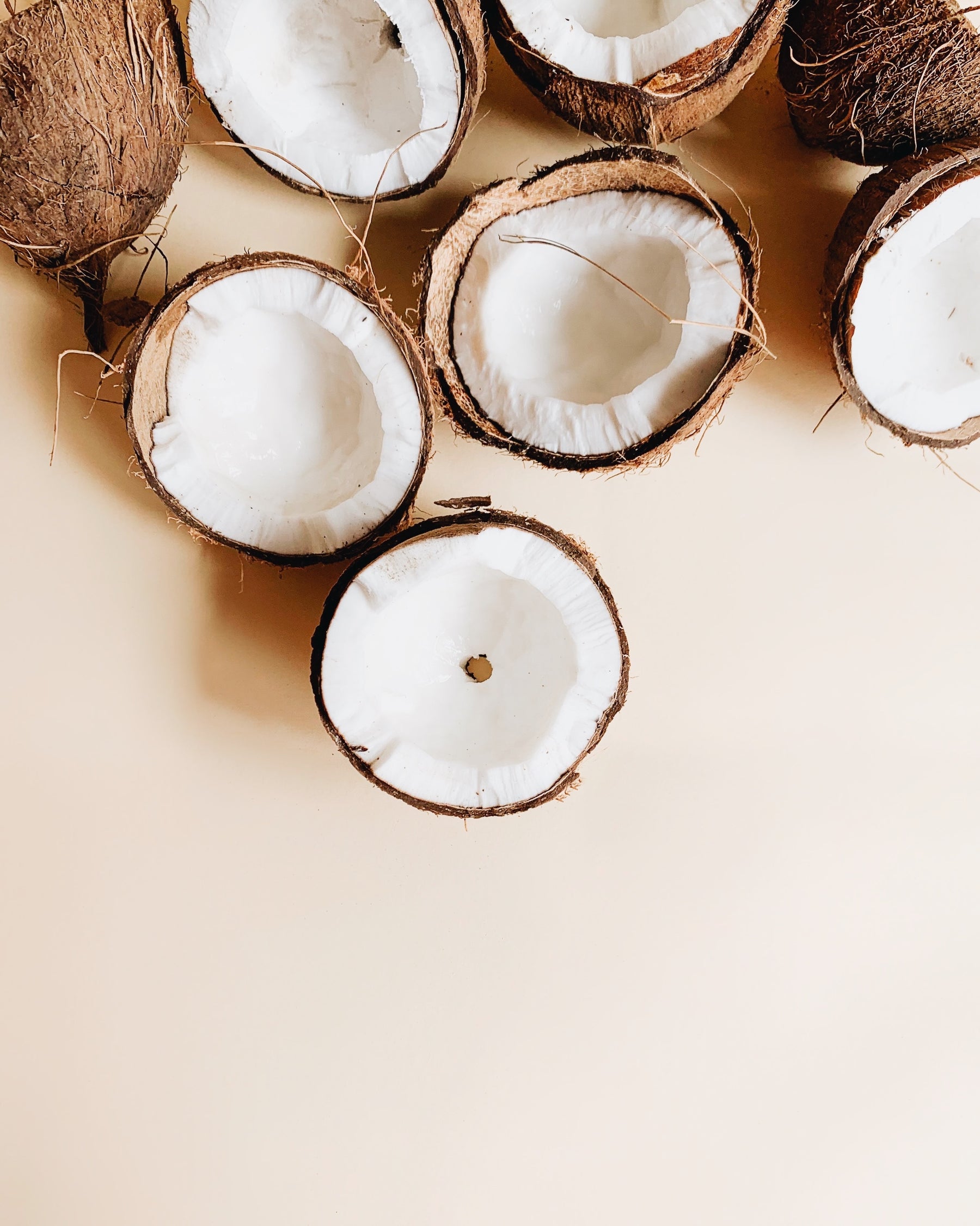 Coconut Oil: The Majority Host